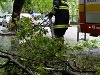 Na východe vyčíňalo počasie, lámalo a vyvracalo stromy