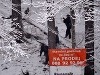 ŠPINDLEROV MLYN - Začiatok zimnej sezóny v Špindlerovom mlyne poznačila tragická nehoda. Okolo ôsmej hodiny večer sa tam zrútila lanovka, na ktorej sa viezla štvorčlenná rodina. Najnovšie vyšlo najavo, že majiteľ na ňu nemal úradné povolenie. Chvíle hrôzy v Krkonošiach: Otec (†38) po páde lanovky zomrel pred očami svojich detí!