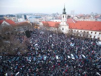 Gorila - BRAITSLAVA Gorila - BRAITSLAVA