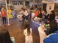 V bare, ktorí mohli diváci kedykoľvek navštíviť, sa konali aj sobotňajšie duely.  