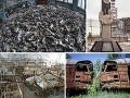FOTOREPORTÁŽ, z ktorej je FOTOREPORTÁŽ, z ktorej je