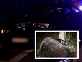 Manželia prechádzali cez Donovaly: Manželia prechádzali cez Donovaly: