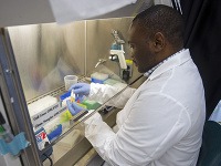 Ľudstvo má novú nádej proti ebole: WHO vyvinula účinnú vakcínu #zdravie