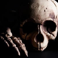 Resultado de imagen para Craneos y esqueletos