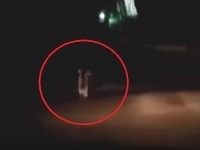 Ženu miestni poznajú pod menom Sofia, jej skutočná totožnosť je však neznáma. Ženu miestni poznajú pod menom Sofia, jej skutočná totožnosť je však neznáma.