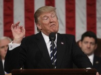 Donald Trump Donald Trump