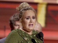 Speváčka Adele očividne nemá rada hmyz. Speváčka Adele očividne nemá rada hmyz.