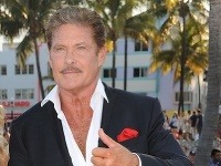 David Hasselhoff David Hasselhoff