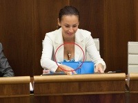 Poslankyňa Alena Bašistová Poslankyňa Alena Bašistová