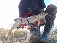 Ľudia sa ešte majú čo učiť. Ľudia sa ešte majú čo učiť.