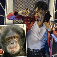 Michael Jackson a jeho šimpanz Bubbles Michael Jackson a jeho šimpanz Bubbles
