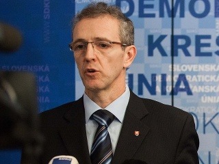 Ivan Štefanec (SDKÚ-DS)
