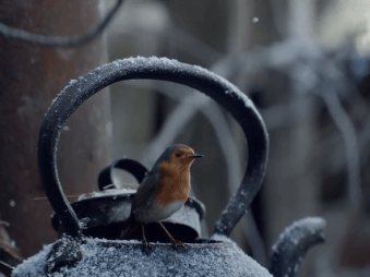 Dojímavá vianočná reklama, ktorá