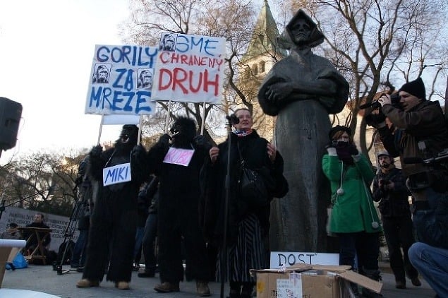 Gorilí protest vo fotkách: