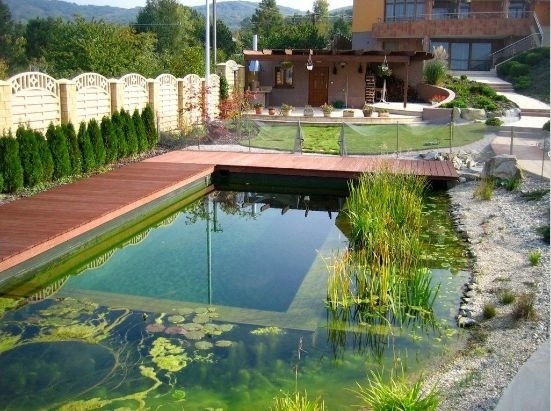 Záhradné jazierko, fontána aj bazén sú súčasťou vily. A nielen to.
