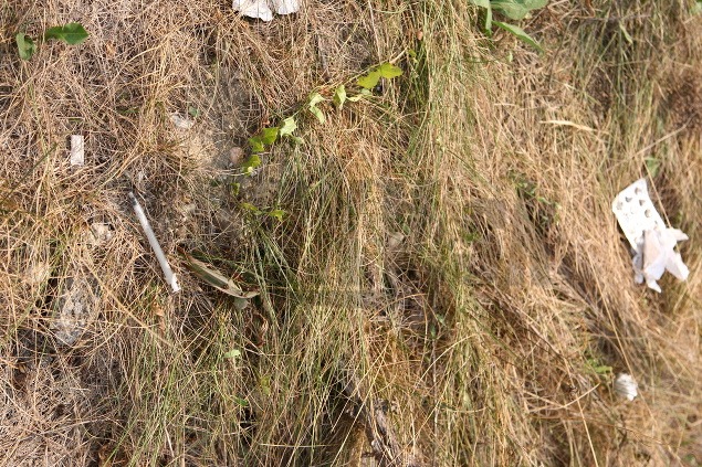 V tráve vedľa prbytjku sme našli injekčnú striekačku aj obaly od liekov