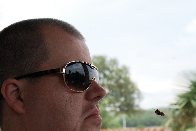 foto: Adam z Bratislavy, Chorvátsko, Stretnutie s včelou