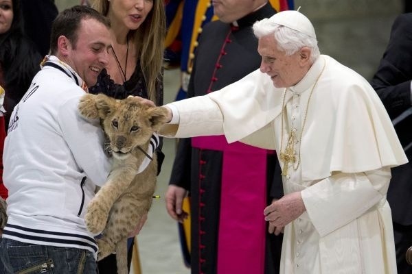Ani pápež Benedikt XVI. neodolal čaru malého levíčaťa, ktoré bolo súčasťou audiencie cirkusantov u včerajšej návštevy Svätého otca vo Vatikáne