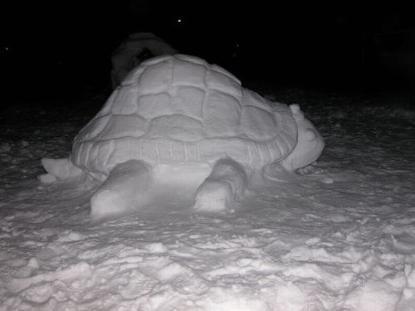 Deti sneh ako stavebný materiál doslova milujú, čo dokázali aj touto gigantickou korytnačkou