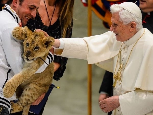 Koncom decembra sa audiencie vo Vatikáne zúčastnilo aj toto milé levíča