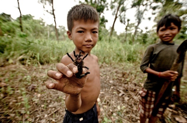 FOTOREPORTÁŽ Malé deti lovia