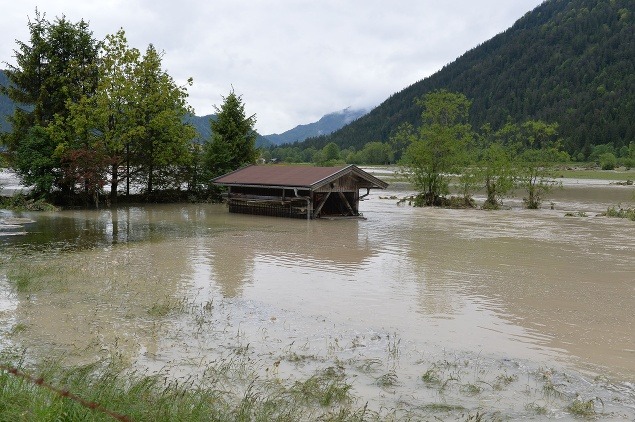 FOTOREPORTÁŽ Najdesivejšie zábery zo