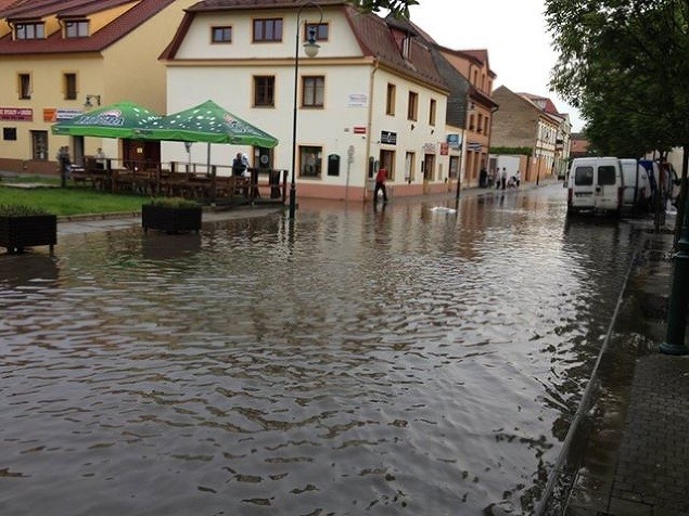 FOTOREPORTÁŽ Najdesivejšie zábery zo