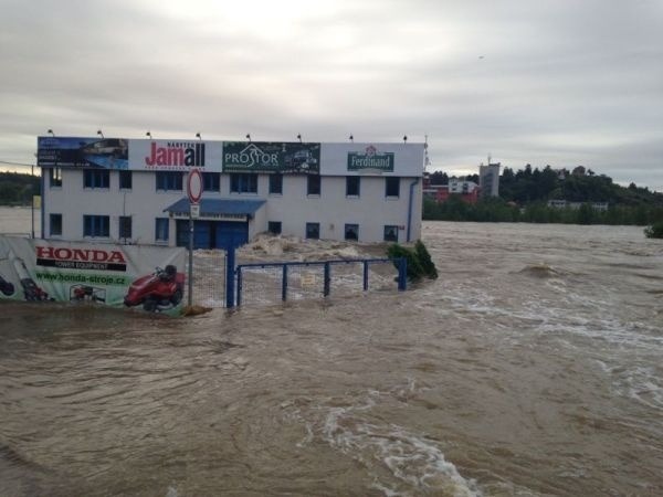 FOTOREPORTÁŽ Najdesivejšie zábery zo