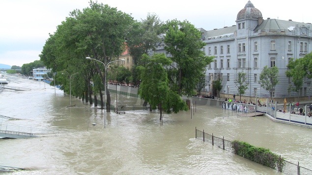 FOTOREPORTÁŽ Najdesivejšie zábery zo