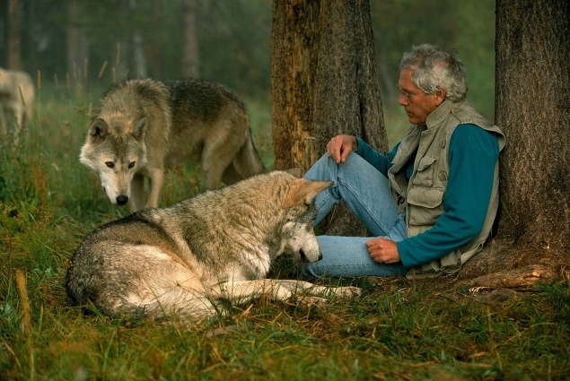 FOTOREPORTÁŽ Život s vlkmi
