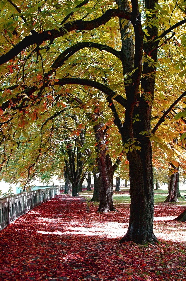 FOTOGALÉRIA vašich jesenných záberov: