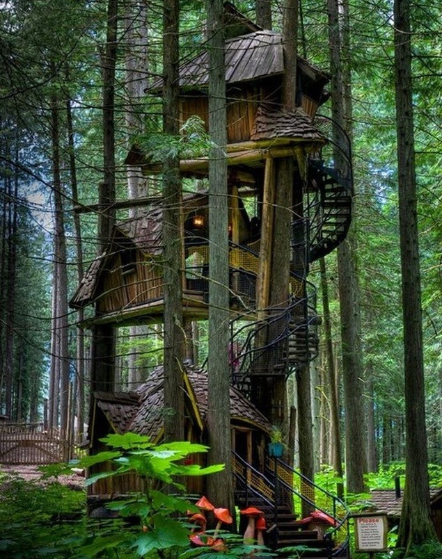 Trojposchodový dom na strome, Kanada