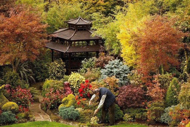 SÚŤAŽ o najkrajšiu záhradku: