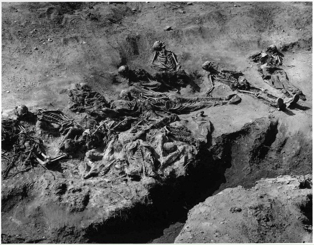 Kostry zavraždených v masovom hrobe v Kozluku.
