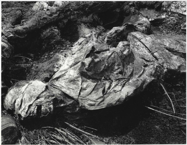 Snímka zverejnená Medzinárodným trestným tribunálom pre bývalú Juhosláviu dňa 13. marca 2000 ukazuje telo obete vykopané v Kozluku v roku 1999.