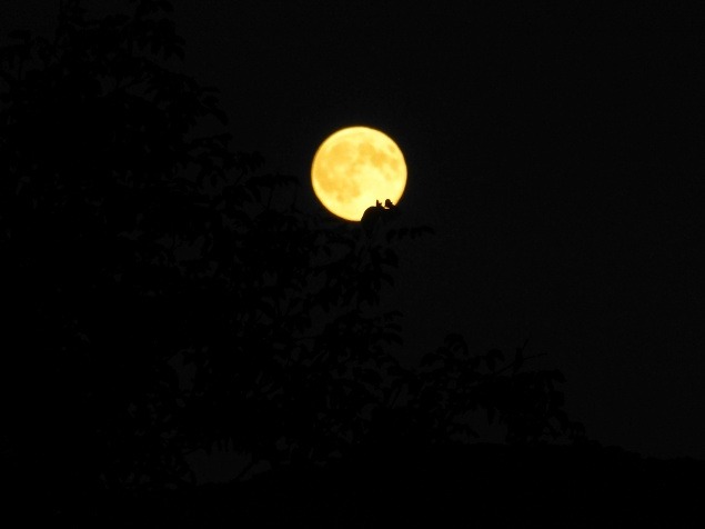 Eulália odfotila megický mesiac už pred deviatou hodinou večer