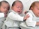 Amelie, Lori a Sofia