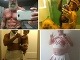Totálny masaker: Najhoršie selfies Totálny masaker: Najhoršie selfies