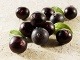 Acai bobule sa zbytočne Acai bobule sa zbytočne