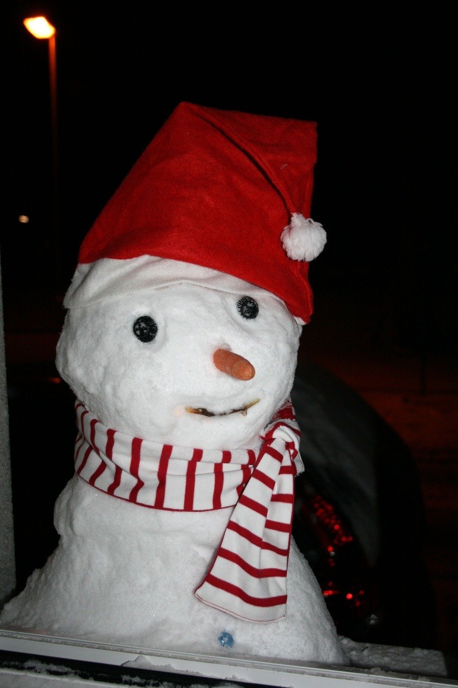 Zima 2012: Zima 2012: