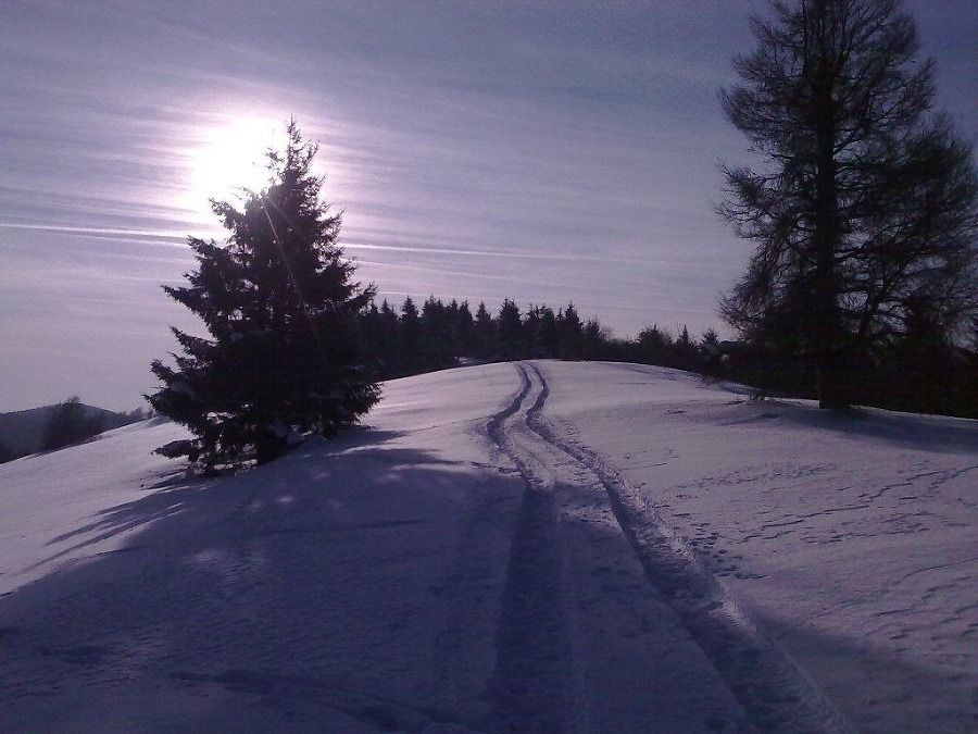 Zima 2012: Zima 2012: