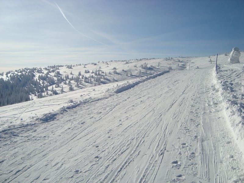 Zima 2012: Zima 2012: