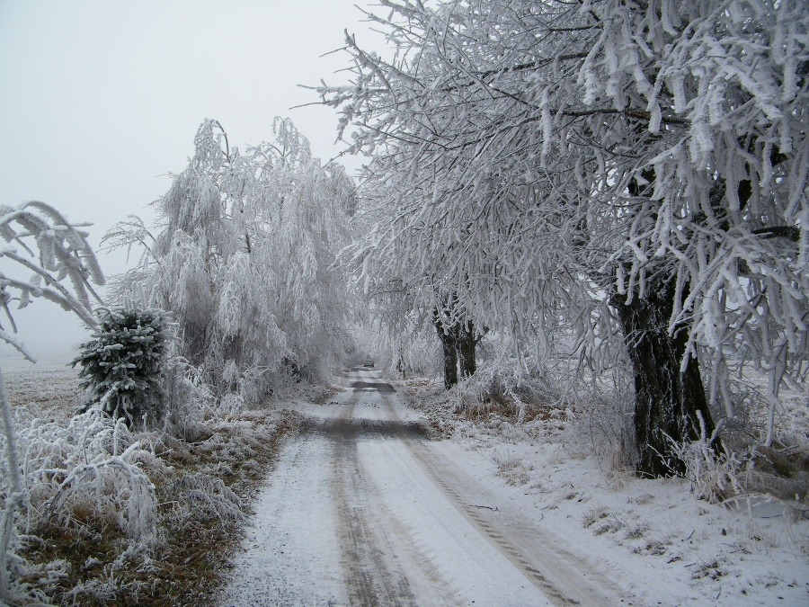 Zima 2012: Zima 2012: