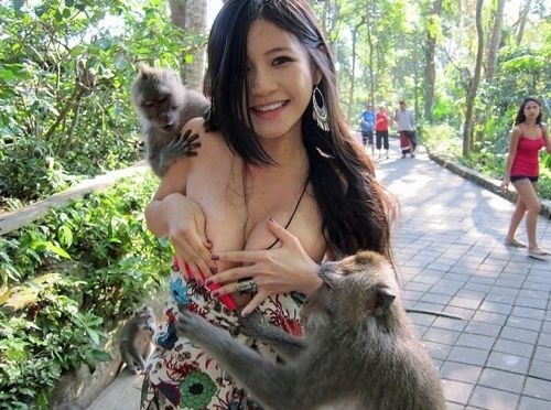 Zahanbená modelka: Opica jej