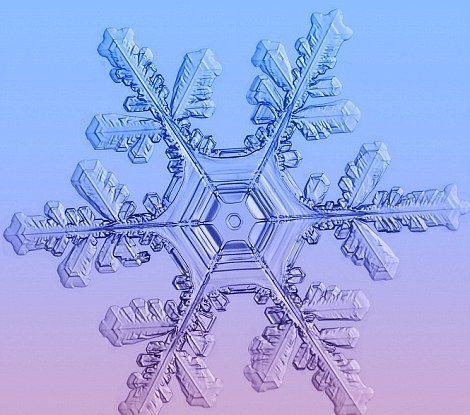 Zázrak zimy: Snehové vločky