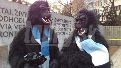 Výsledok protestu Gorila 2: