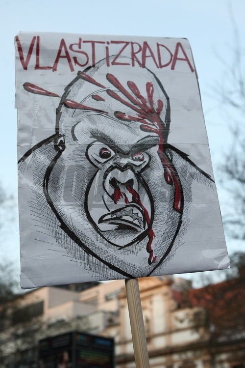 Protest Gorila 3 v