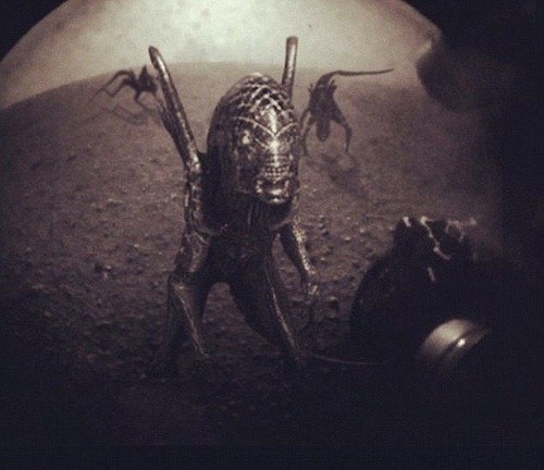 Režisér Ridley Scott ani netušil, že sa príšery z jeho filmu skutočne raz objavia na Marse.