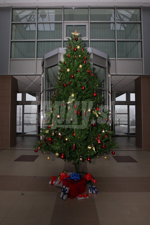 Ministerstvo zdravotníctva. Vysoký umelý stromček v trochu chladnom vestibule.