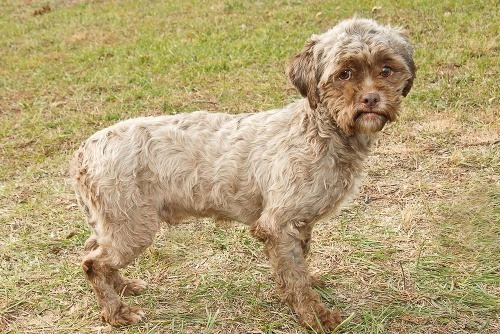 Neuveriteľné: Na internete objavili